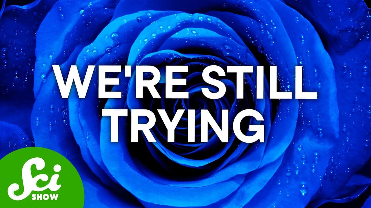Close-up of a vibrant blue rose with water droplets, with white text "WE'RE STILL TRYING" and SciShow logo overlay