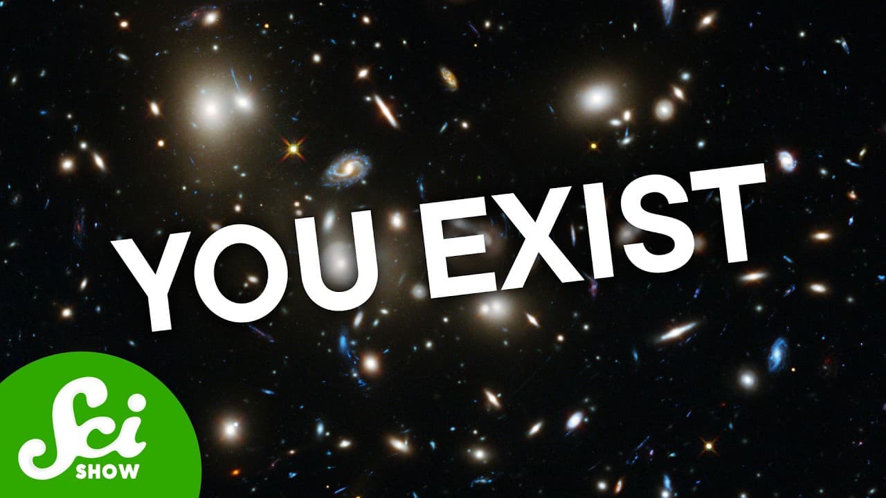 Unpacking the Flaws in the Standard Model