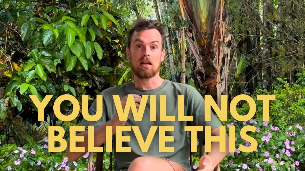 Someone Minted a Token for His Free Code and Paid His Debt