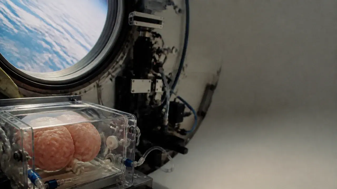 A NASA astronaut and doctor examine a glowing blue brain hologram with a young girl, illustrating space-based neuroscience…